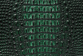 鳄鱼骨皮肤纹理背景.图片