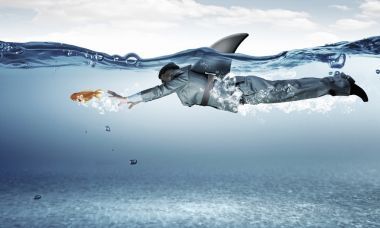 他是像鲨鱼一样危险。混合媒体