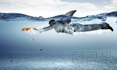 他是像鯊魚(yú)一樣危險(xiǎn)?；旌厦襟w