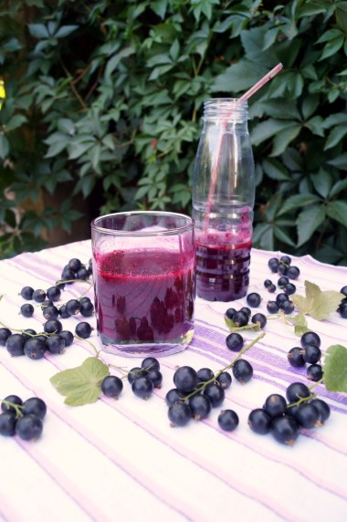 健康的果汁從漿果的黑醋栗維生素飲料，夏天甜品概念