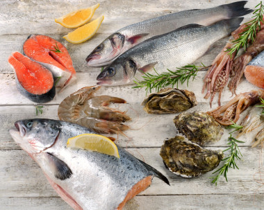 新鲜的各种各样的海鲜图片