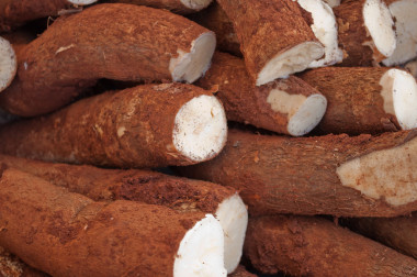 很接近的許多木薯