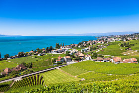 在拉沃地区-露天的咖啡座德拉沃梯田，瑞士葡萄园