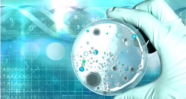 在科學(xué)家手中微生物學(xué)實(shí)驗(yàn)室測(cè)試