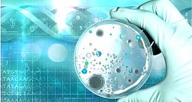 在科学家手中微生物学实验室测试
