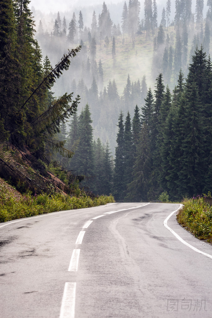 走進大山的路