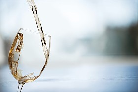 白色的酒溅孤立图片