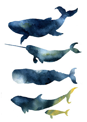 水彩鲸鱼套。手绘海洋动物剪影与天空纹理。打印与蓝鲸，harwhale，抹香鲸，逆戟鲸在白色背景上分离。设计、 印刷、 织物和背景