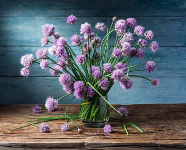 木制的桌子上的花瓶中的洋蔥 （韭菜） 花束