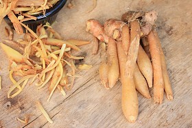 新鲜的 fingerroot 和切片 