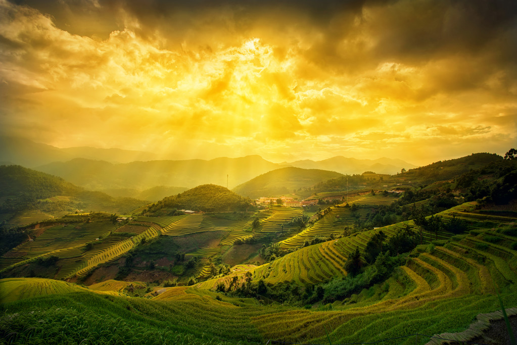 关于 Vie 日元百亩常柴梯田在夕阳的稻田