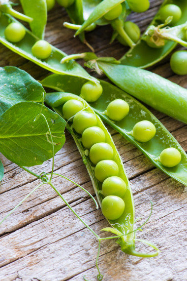 绿豌豆关门图片