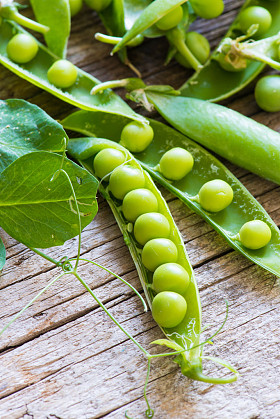 绿豌豆关门图片