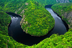森林与水河峡谷图片