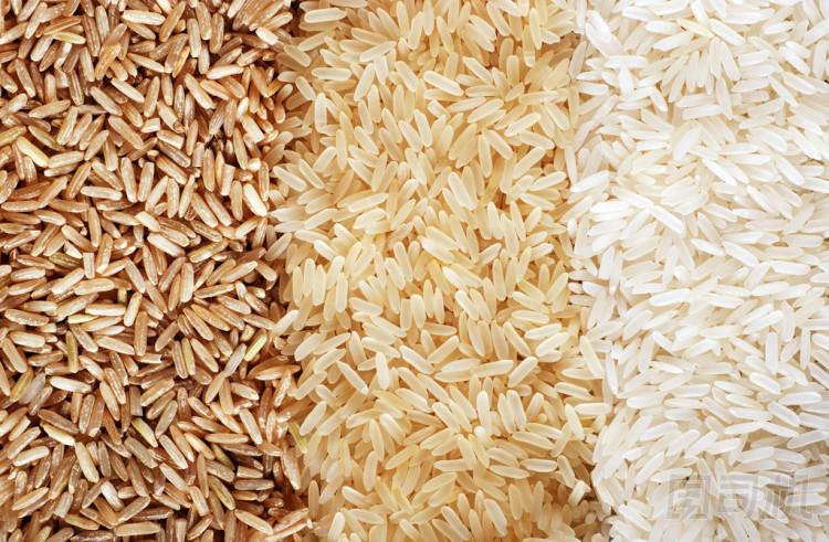 三行的水稻品種-棕色、 野生及白色