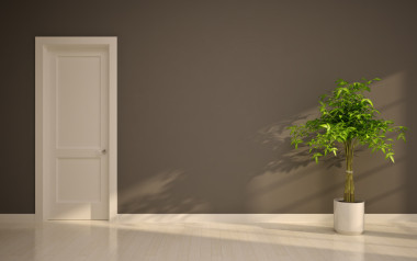 空的内部，有门和树