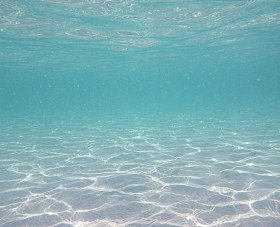 我们The海底řskeho DNA