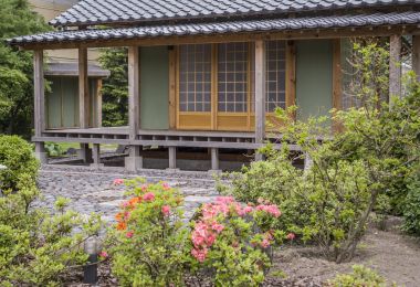 日本茶屋图片