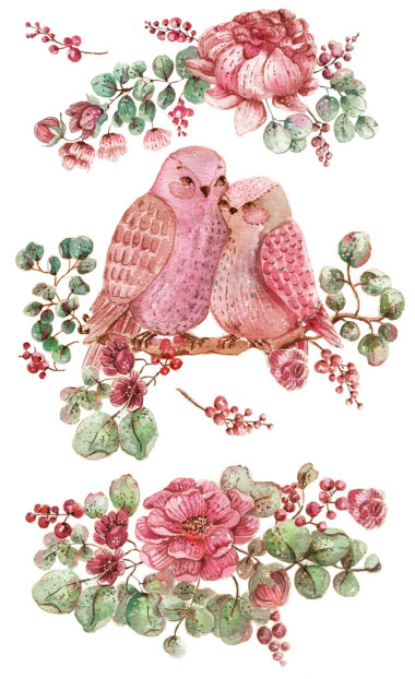 玫瑰、 樹(shù)葉和小鳥(niǎo)。在白色黑色水彩插圖