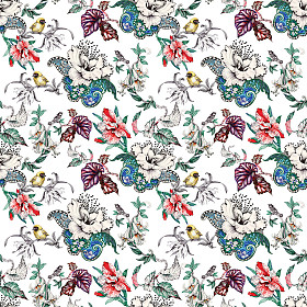 无缝模式与热带花卉和鸟图片