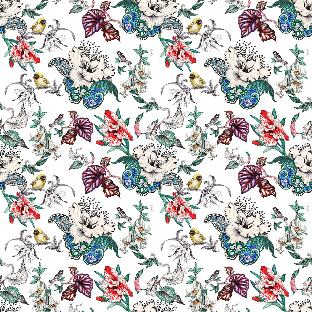 无缝模式与热带花卉和鸟图片