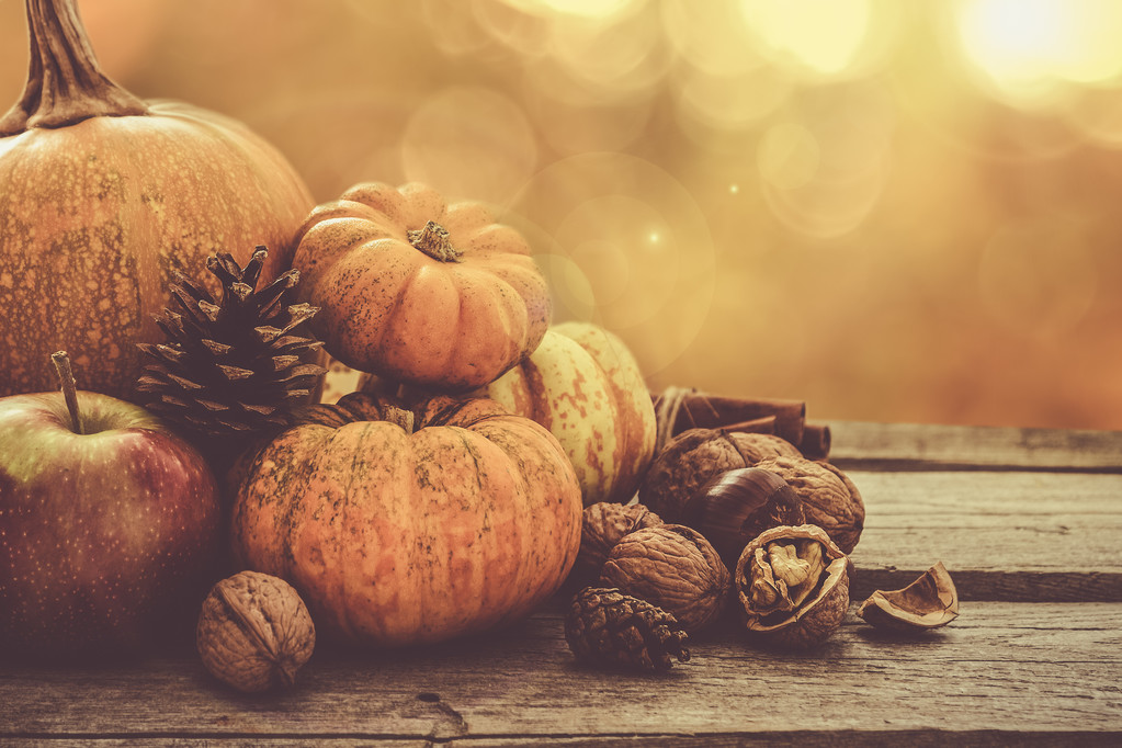 秋天的自然 秋天的自然