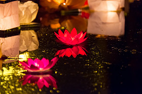 上水浮莲花花纸灯笼图片