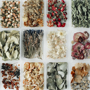 各種花草茶干圖片
