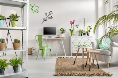 看起來像一座花園的家圖片