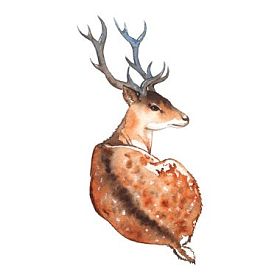 水彩鹿与角木动物隔离