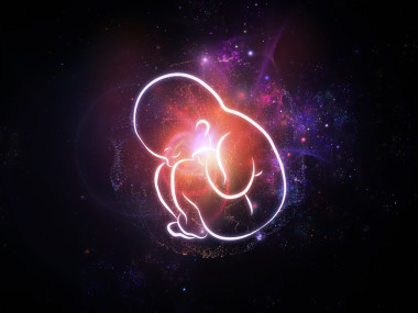 胎儿的内心生活图片