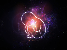 胎儿的内心生活图片