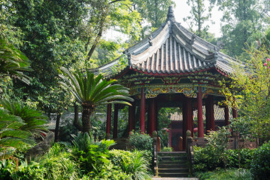 寶塔包圍植被
