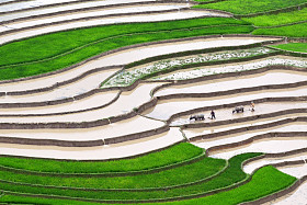 梯田