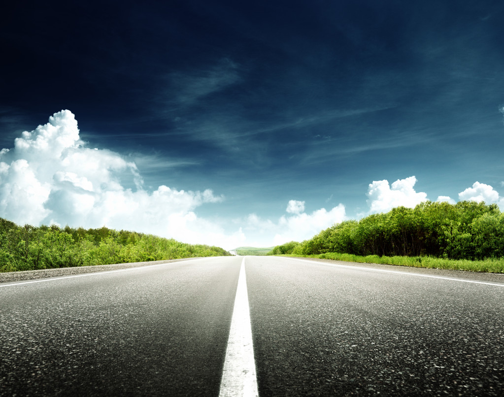 在森林里的路 在森林里的路