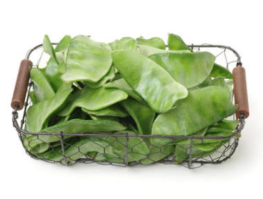 在白色背景上的风信子豆