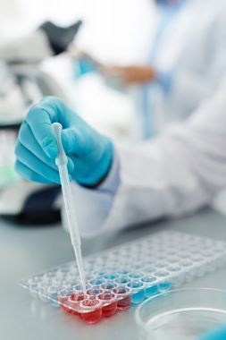 人的手在藍色手套