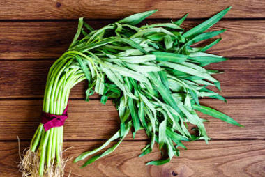 空心菜或水菠菜或木制英國航空公司牽?；?>
                    </a>
                    <div   id=