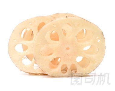 白蓮藕照片