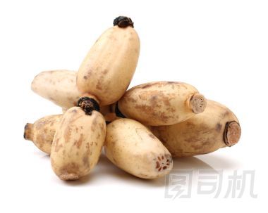 白蓮藕