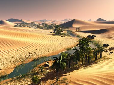 棕榈树附近绿洲 3d 图图片