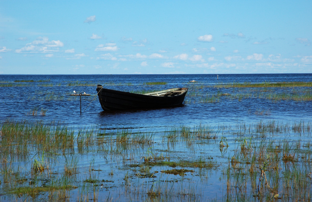 木制船靠近湖岸 木制船靠近湖岸