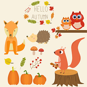 小狐狸、 南瓜、 猫头鹰、 松鼠、 刺猬，蘑菇与他