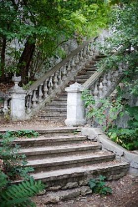 在绿叶中的旧 staricase