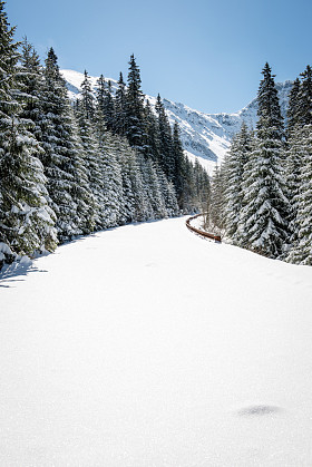 旅游徒步旅行在西部喀尔巴阡，塔特拉山的轨道