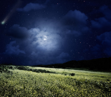 夜間草甸.