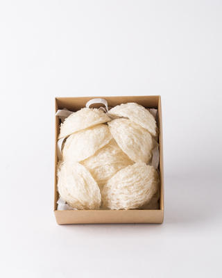 鸟的巢或 Salanganes，从自然奢华的食物