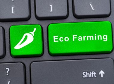 与生态养殖文本的单个按钮图片