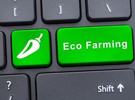 与生态养殖文本的单个按钮图片