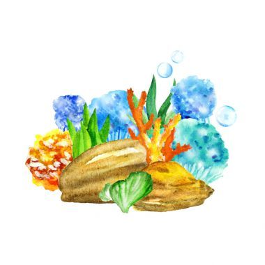 奇異的加勒比海采購(gòu)產(chǎn)品多顏色的石頭珊瑚海藻有趣的魚(yú)貝殼螃蟹